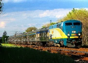 VIA Rail #917