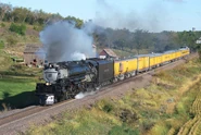 Union Pacific 3985 pulls an excursion train.