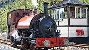 Sir Haydn