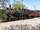 South Simcoe Railway
