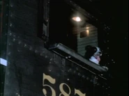 A dog riding in the cab.