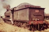 JABAS ROD23 at Hexham