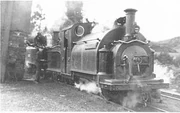 Welsh Pony and Taliesin at Tan-y-Bwlch in the 1920s