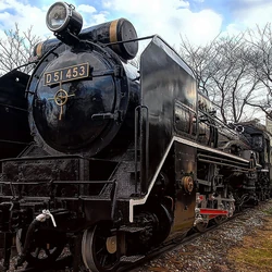 JNR Class D51/Preservation | Locomotive Wiki | Fandom