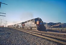 SP 8989 near Nicklin, CA in February 1981 01 (31244229325)