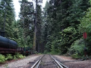 View of the railroad's track as it winds south into thick forest cover.