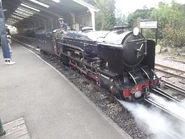 Samsonsteam.jpg (169 KB)