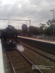 K153 at Mooroolbark