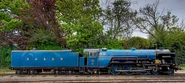 Loco-side-profile-hurricane.jpg (111 KB)