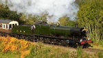 Steam Locomotive 2857 (8090249000)