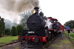 802 a C17 class operating on the Mary Valley Heritage Railway.