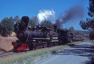 Sierra Railway #3 is triple-heading with Sierra Railway #28, and #36.