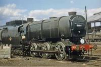 51127879173 82e5110348 b