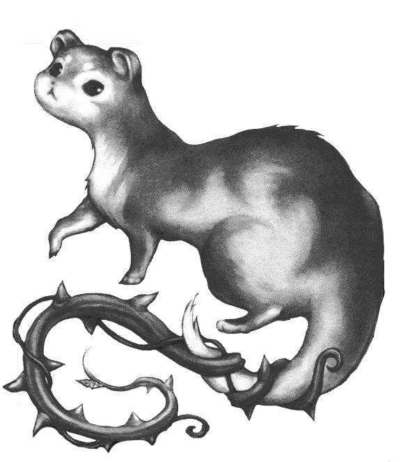 Weasels | Naruto Fanon Wiki | Fandom