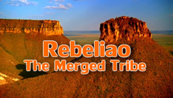 Rebeliao Tribe