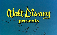 Walt Disney Presents - Those Calloways - 1965