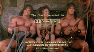 The Barbarians/The Barbarian Brothers (1987)