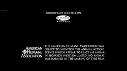 Hollywood Records Logo Timeline Wiki Fandom Hollywood Records Logo Timeline Wiki Fandom