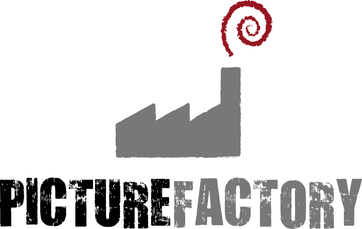 The Picture Factory | Logo Timeline Wiki | Fandom