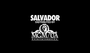 Salvador (1986)