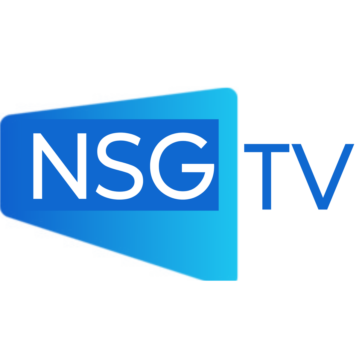 nsg-tv-logo-timeline-wiki-fandom