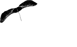 fondo televisivo canadese fonds canadien de television