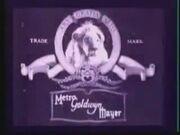BRIEF GLIMPSE 1 MGM 0001.jpg