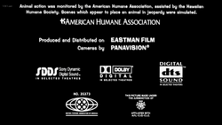 Dts Credits Variants Logo Timeline Wiki Fandom