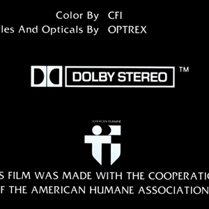 Dolby Stereo Logo Timeline Wiki Fandom