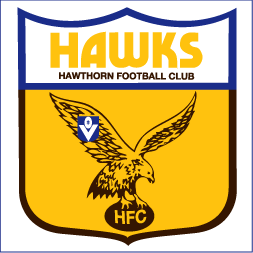 hawk football logo