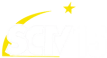 SCTV15 logo 2010