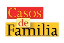 Casos de Familia 2004