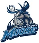 2465 manitoba moose-primary-2016
