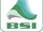 Broadcast Software International