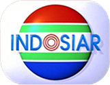 INDOSIAR 1996