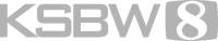 Watermark version, used during syndicated programming