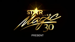 30th Anniversary logo, used on opening of Love in 40 Days (May 30–October 28, 2022)