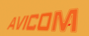 Animation version