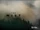 The Mist