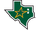 Dallas Stars