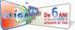 6th anniversary logo (2015)