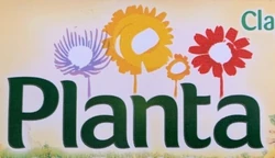 Planta 1