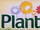 Planta