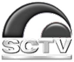 Sctv Other Logopedia Fandom