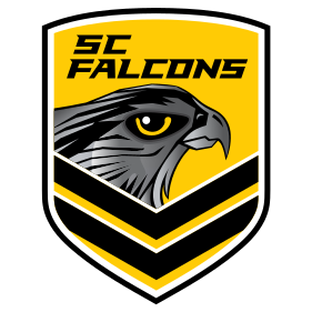 Falcons-badge