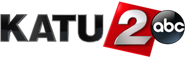 3D logo (2013–present)