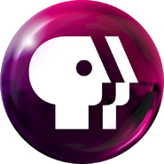 PBS2009symbol Magenta