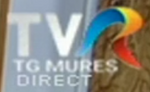 Direct on-screen bug (2019–present)