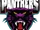 Berkeley Vale Panthers