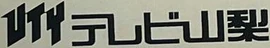 Logo with wordmark